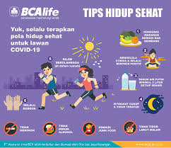 Hidup Sehat